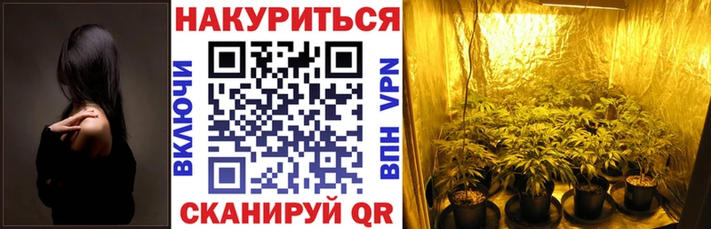 Конопля THC 21% Кузнецк